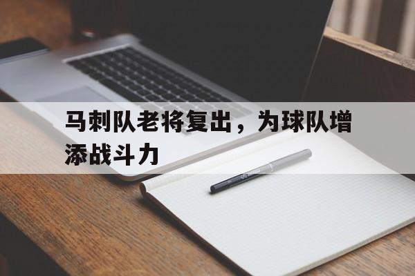 马刺队老将复出，为球队增添战斗力