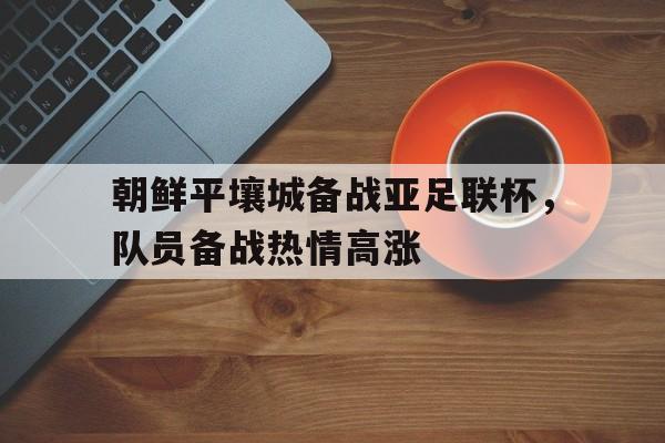 朝鲜平壤城备战亚足联杯，队员备战热情高涨